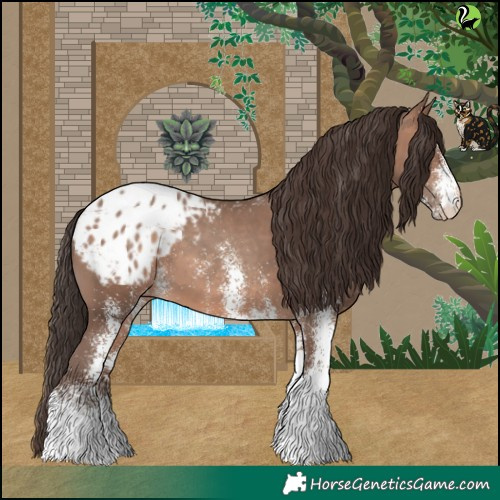 Horse Color:White Spotted Sable Champagne Appaloosa 