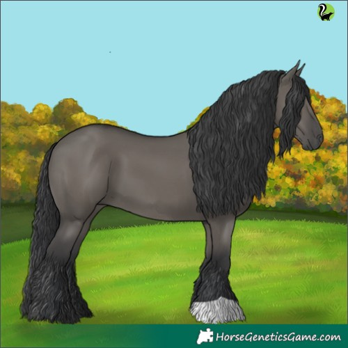 Horse Color:Grullo 