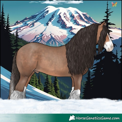 Horse Color:Amber Champagne Splash 