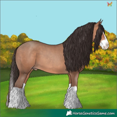 Horse Color:Amber Champagne Splash 
