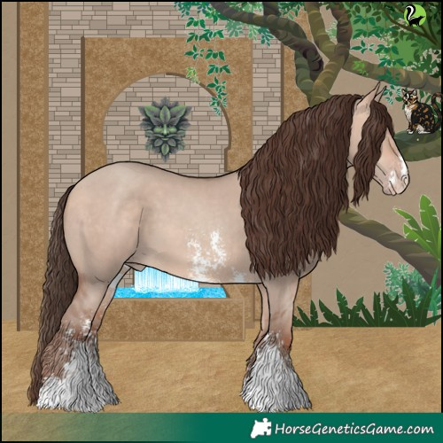 Horse Color:Amber Champagne Dun Sabino 