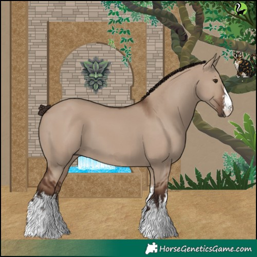 Horse Color:White Spotted Liver Red Dun 
