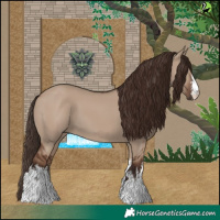 Horse Color:White Spotted Liver Red Dun 