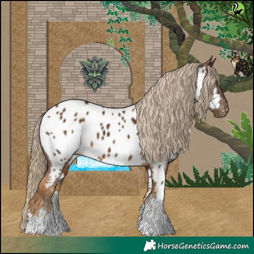 Horse Color:White Spotted Chocolate Palomino Near Leopard 