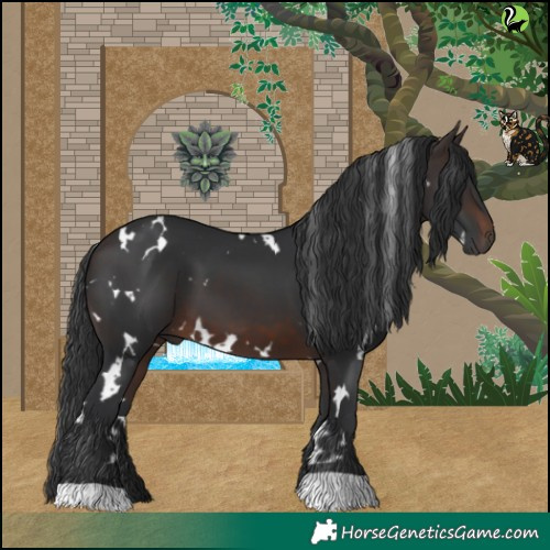 Horse Color:White Spotted Brown 