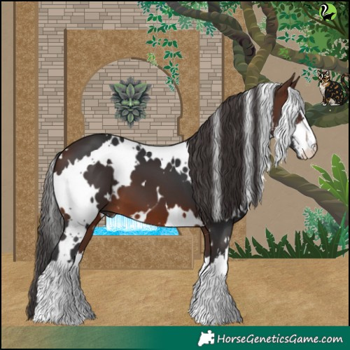 Horse Color:White Spotted Brown 
