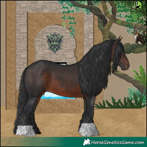 Horse Color:Brown 