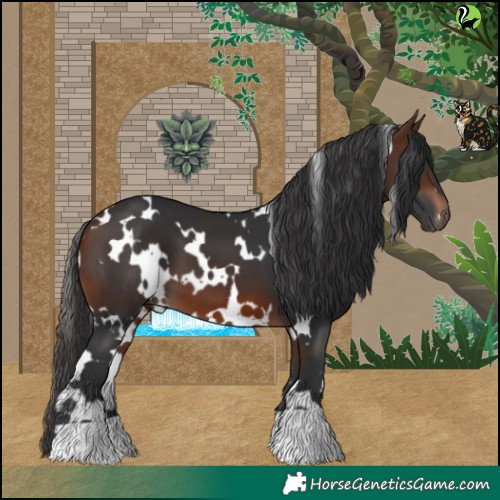 Horse Color:White Spotted Brown 