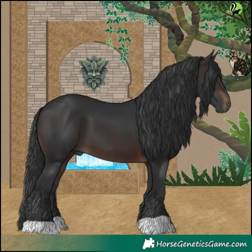 Horse Color:Brown 