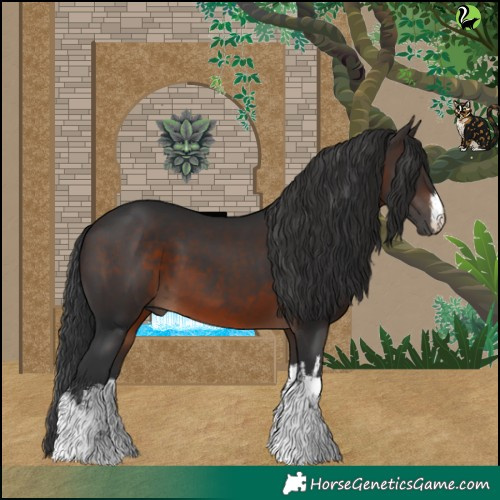Horse Color:White Spotted Brown 