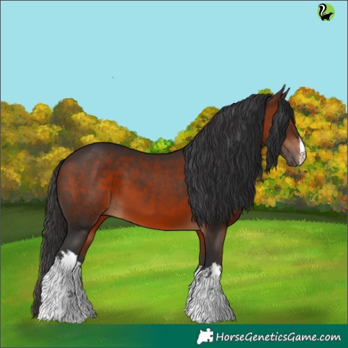 Horse Color:White Spotted Brown 