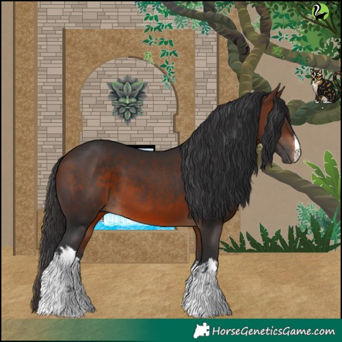Horse Color:White Spotted Brown 