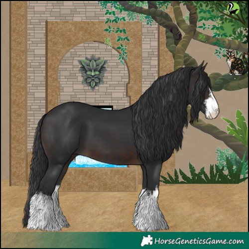 Horse Color:White Spotted Brown 