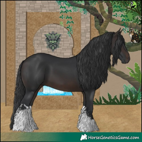Horse Color:White Spotted Brown 