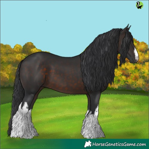 Horse Color:White Spotted Brown 