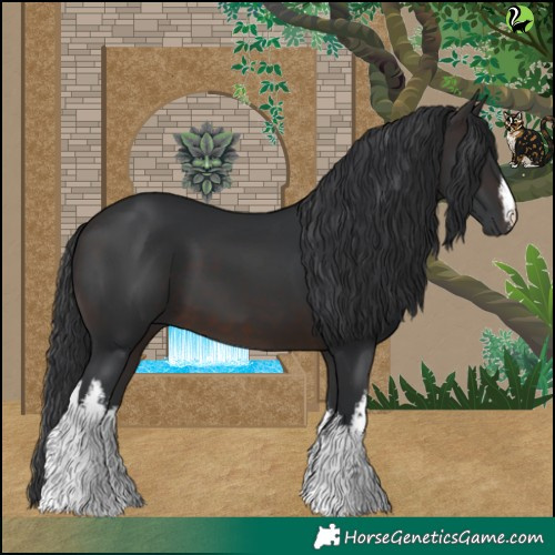 Horse Color:White Spotted Brown 