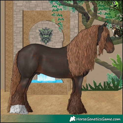 Horse Color:Liver Chestnut 