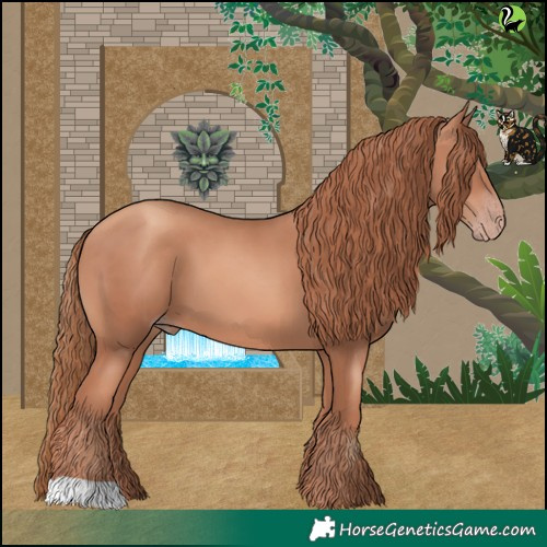 Horse Color:Gold Champagne 