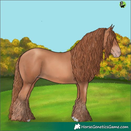 Horse Color:Gold Champagne 