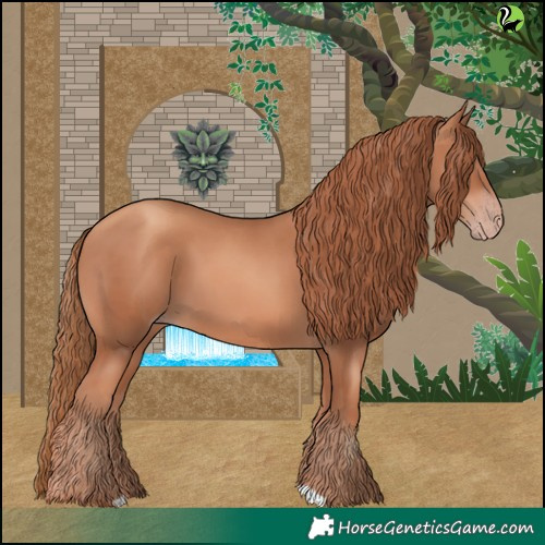 Horse Color:Gold Champagne 