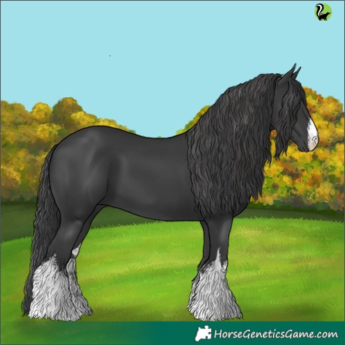Horse Color:White Spotted Black 