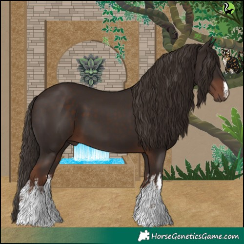 Horse Color:White Spotted Liver Chestnut 