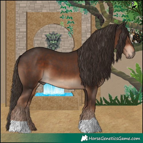 Horse Color:Liver Chestnut 