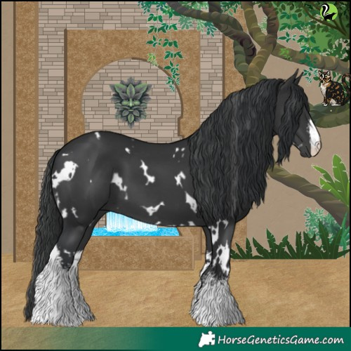 Horse Color:White Spotted Black 