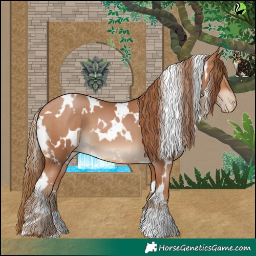 Horse Color:White Spotted Brown Pearl 