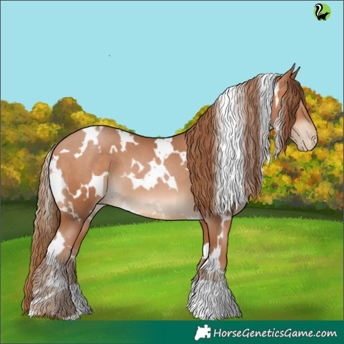 Horse Color:White Spotted Brown Pearl 