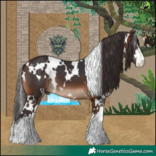Horse Color:White Spotted Brown 