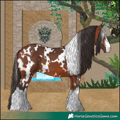 Horse Color:White Spotted Bay 