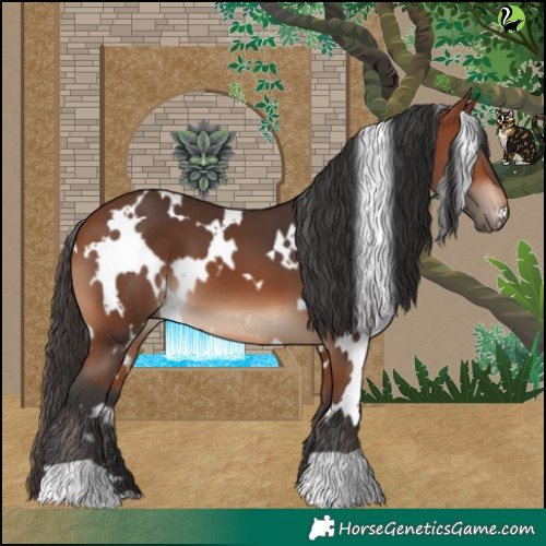 Horse Color:White Spotted Bay 