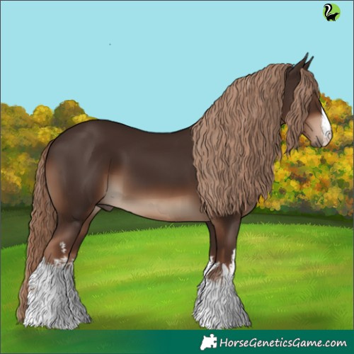 Horse Color:White Spotted Liver Chestnut 