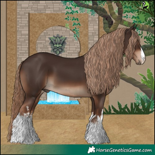 Horse Color:White Spotted Liver Chestnut 