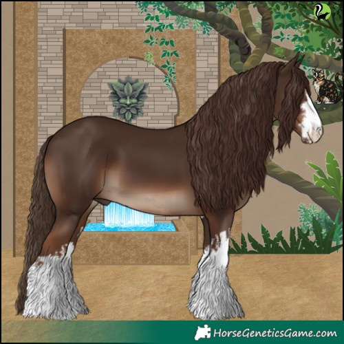 Horse Color:White Spotted Liver Chestnut 