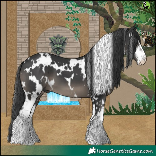 Horse Color:White Spotted Black 