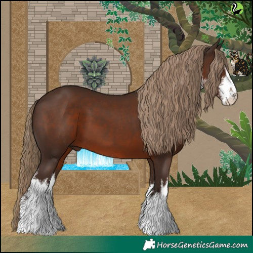 Horse Color:White Spotted Liver Chestnut 