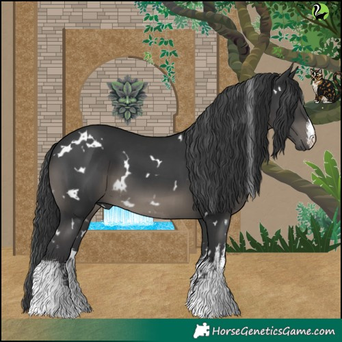 Horse Color:White Spotted Black 