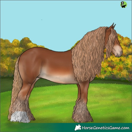 Horse Color:Chestnut 