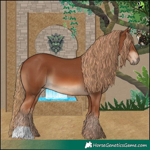 Horse Color:Chestnut 