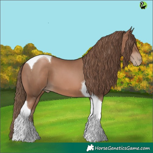 Horse Color:Black Pearl Tobiano 