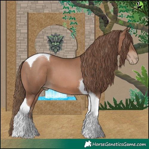 Horse Color:Black Pearl Tobiano 