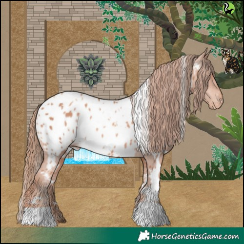 Horse Color:White Spotted Gold Champagne Appaloosa 