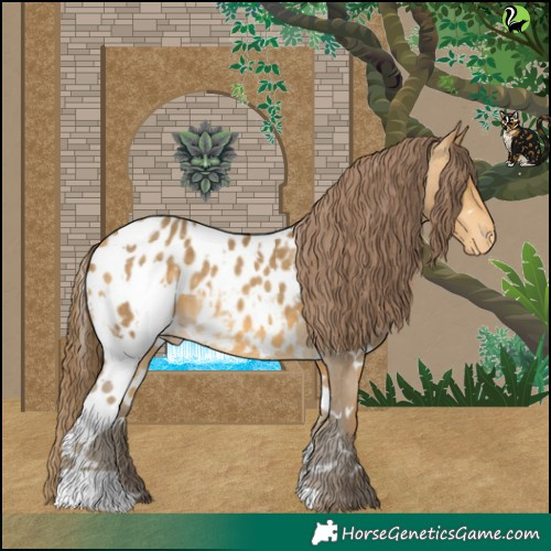 Horse Color:White Spotted Sable Cream Champagne Appaloosa 