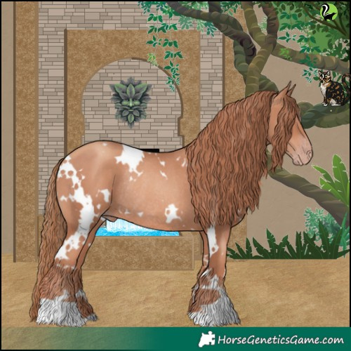 Horse Color:White Spotted Gold Champagne Rabicano 
