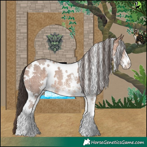 Horse Color:White Spotted Sable Champagne Sabino 