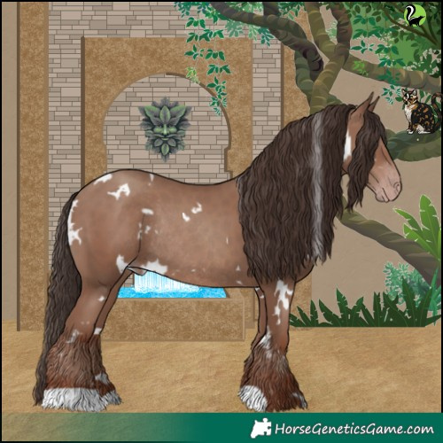 Horse Color:White Spotted Classic Champagne Rabicano 
