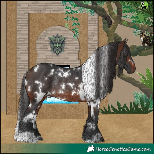Horse Color:White Spotted Brown Rabicano 
