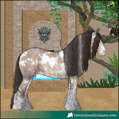 Horse Color:White Spotted Sable Champagne Sabino Rabicano 